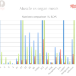 Steak vs Organs Nutrients | ditchthecarbs.com