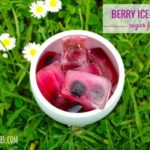 Ice blocks with frozen berries in a white dish sitting on the grass