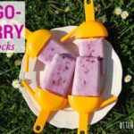 Yoghurt Berry sugarfree popsicles sitting in the garden