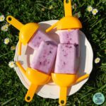 sugar-free berry frozen yogurt popsicles on a white plate with daisies