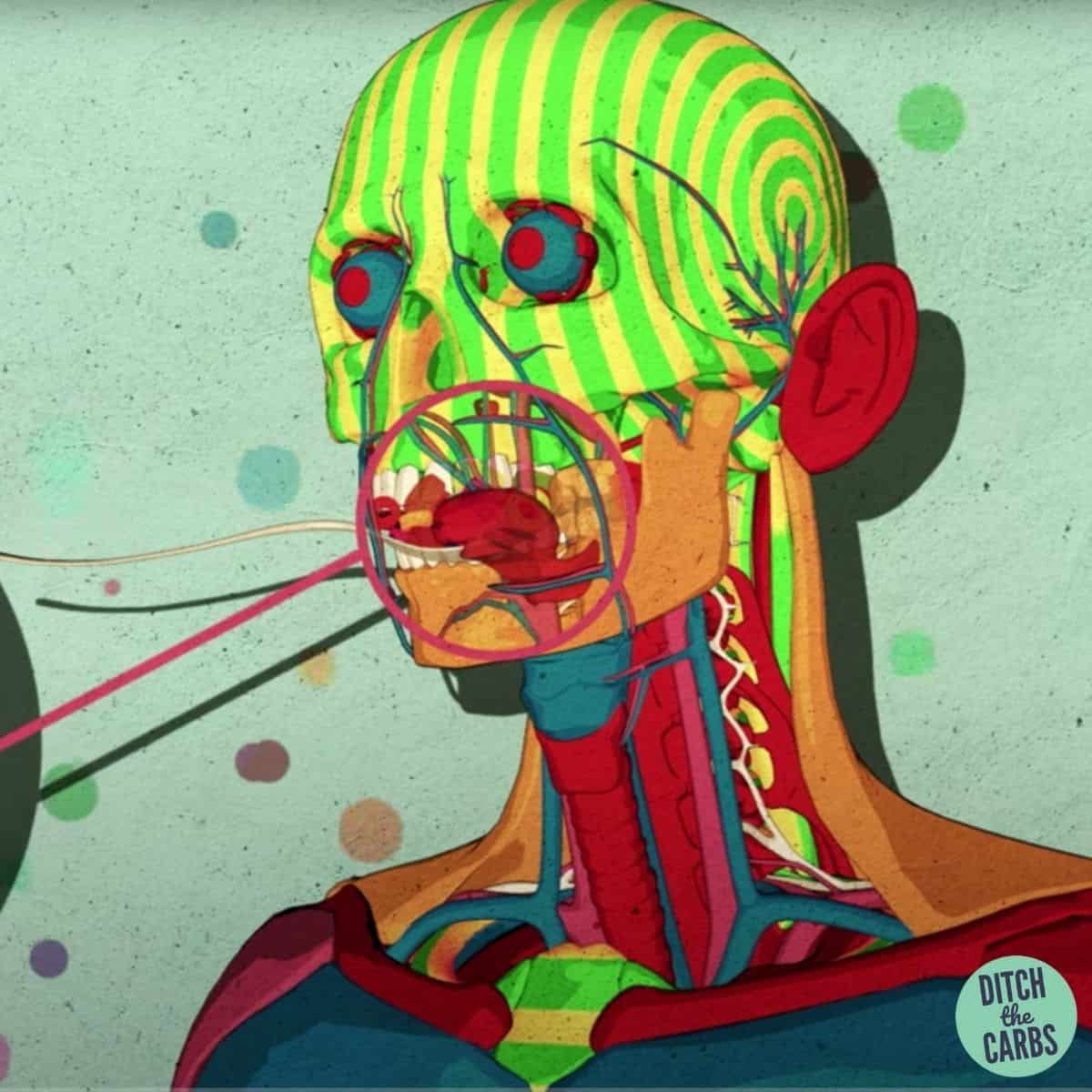 How Does Sugar Affect The Brain TED video