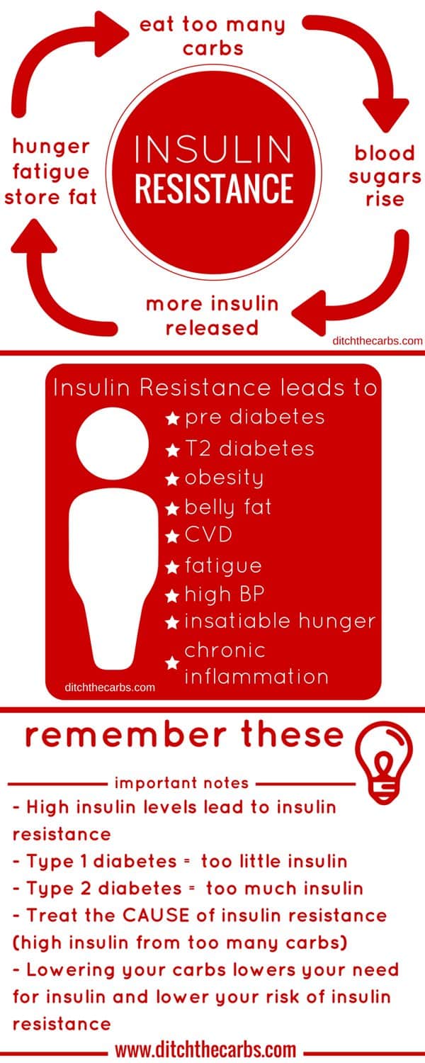 red cartoon graphic showing what is insulin resistance? Do you try everything but can't lose weight? Are you pre diabetic? Are you tired all the time? Could it all be because of insulin resistance