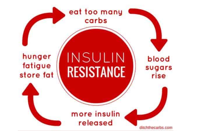 What is insulin resistance? Read the full article | ditchthecarbs.com