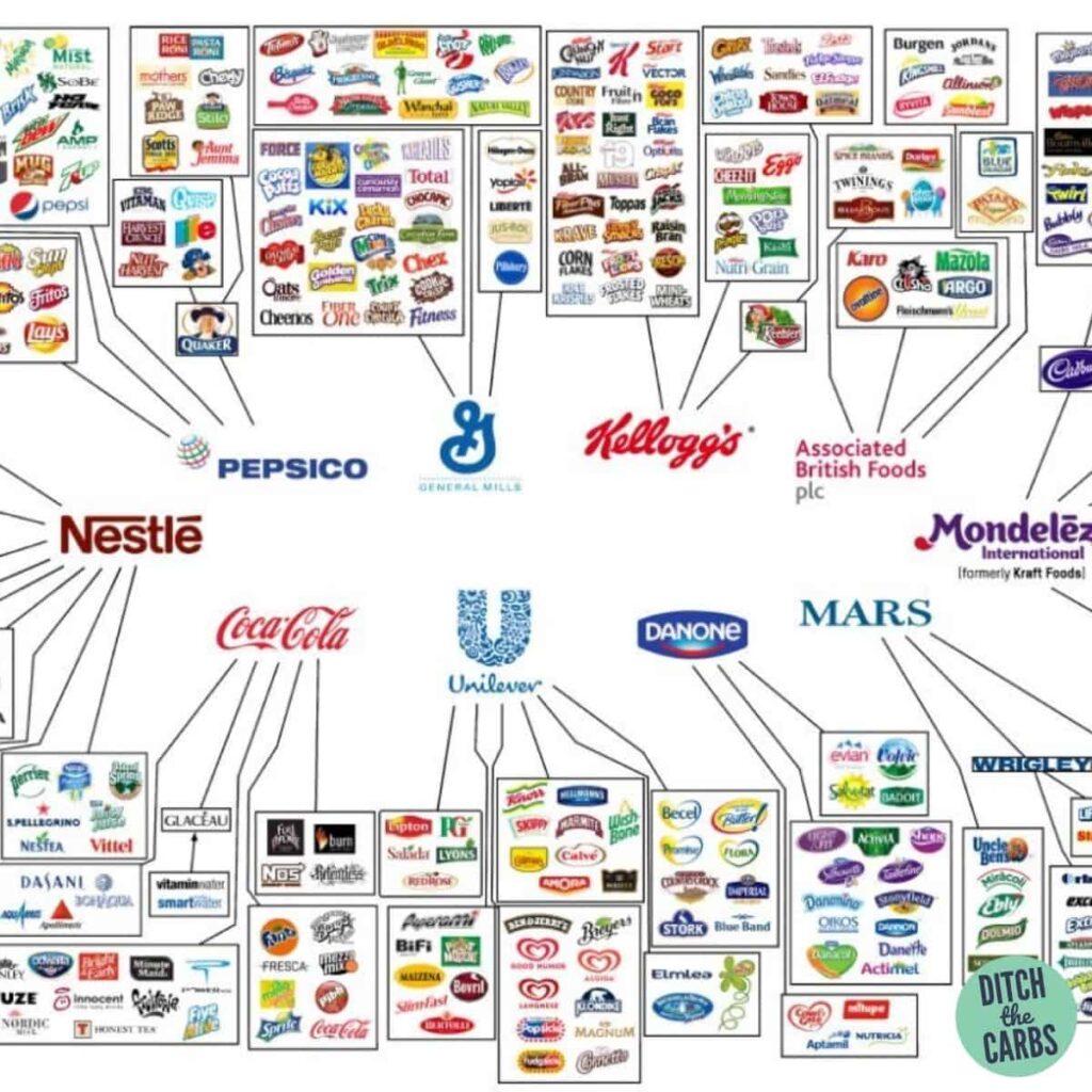 graphic of the 10 giant food companies that rule the world