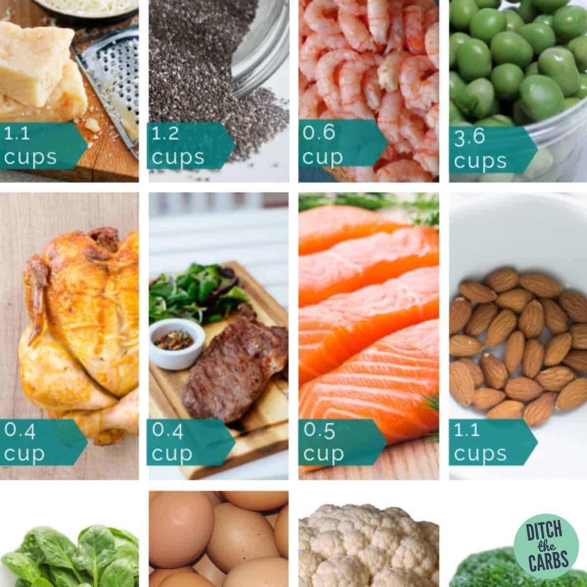 Easy Portion Control (What does 30g protein look like?) + PROTEIN CHARTS