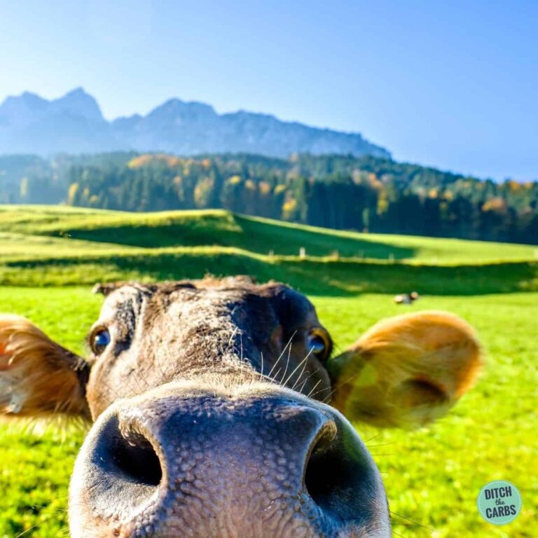 Is Grass-Fed Meat Really Better (Or Worth It)?