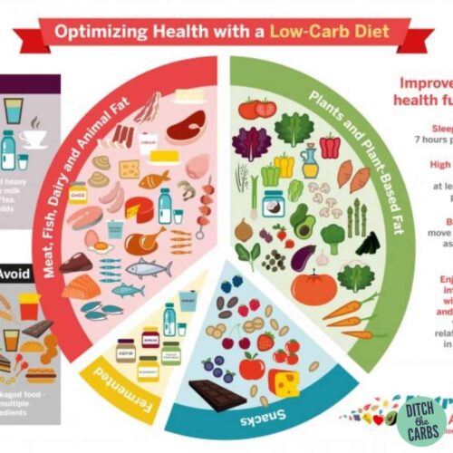 The Healthy Low-Carb Diet: Thinlicious versus Keto - Thinlicious