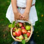 young girl with a basket full of apples