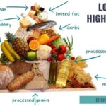low carb vs low fat diet showing the low-fat food pyramid
