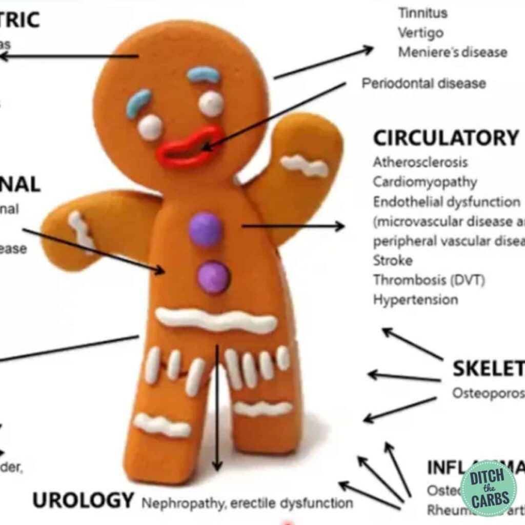 infographic showing what is insulin resistance and a gingerbread man