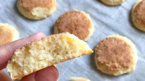 https://thinlicious.com/wp-content/uploads/2021/08/The-BEST-Keto-Snickerdoodles-easy-blender-recipe-1200x1200-1-480x270.jpg