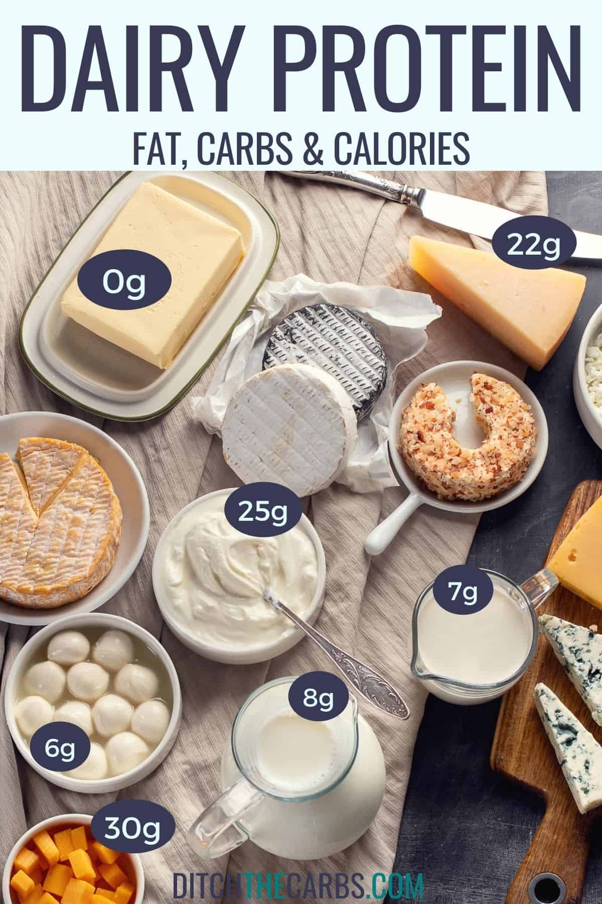 Best High-Protein Dairy (Protein And Carb Charts) - Thinlicious