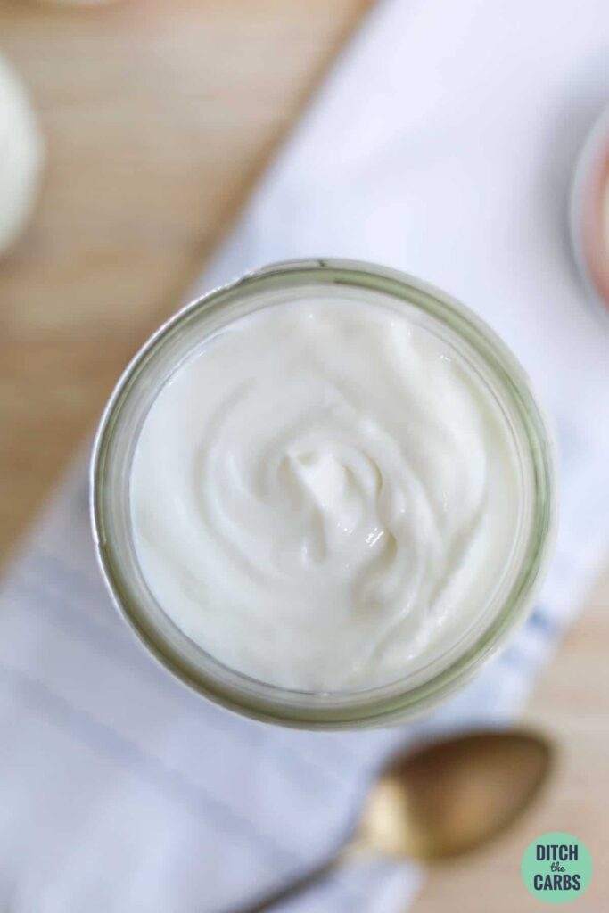 Low-Carb Greek Yogurt (Instant Pot Recipe) - Thinlicious