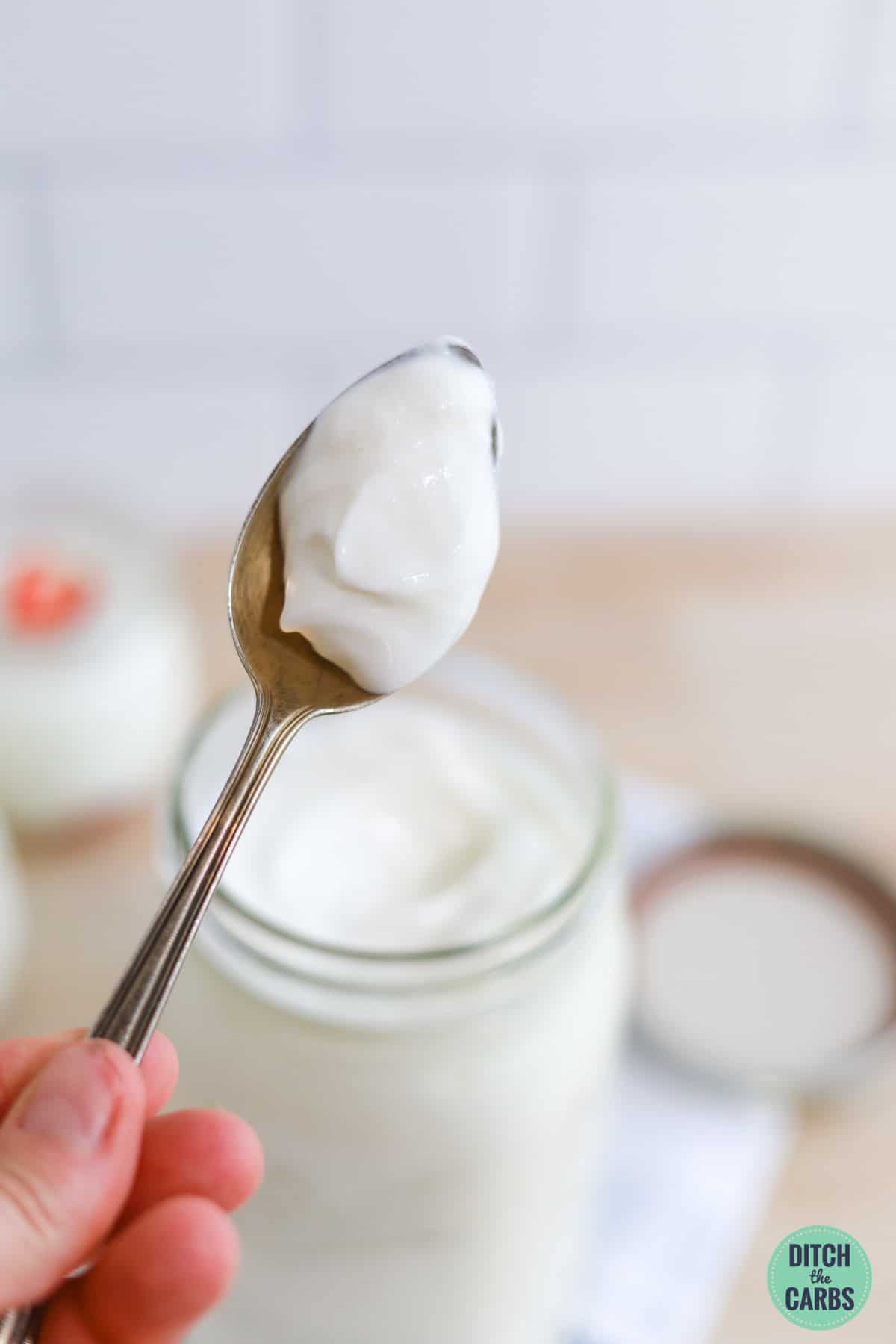 LowCarb Greek Yogurt (Instant Pot Recipe) Thinlicious