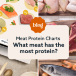 meat protein scale｜TikTok Search