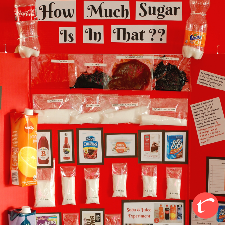 How To Make A Sugar Science-Fair Project (VIDEO)